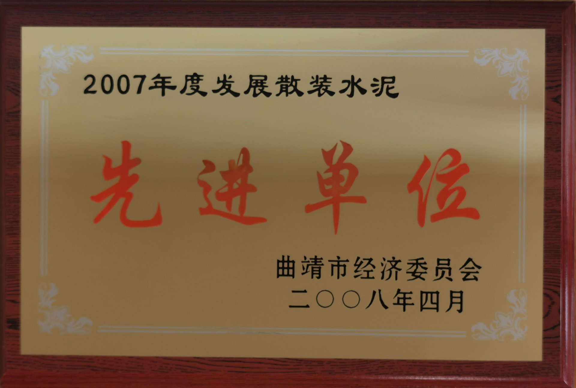 2007年度發(fā)展散裝水泥先進(jìn)單位