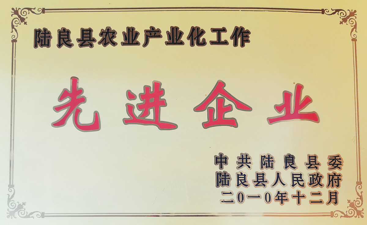 先進(jìn)企業(yè)